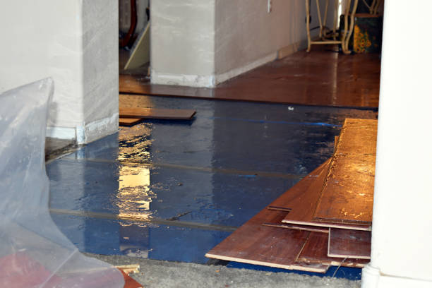 Professional Flood Damage Repair technician working in Summerfield, NC
